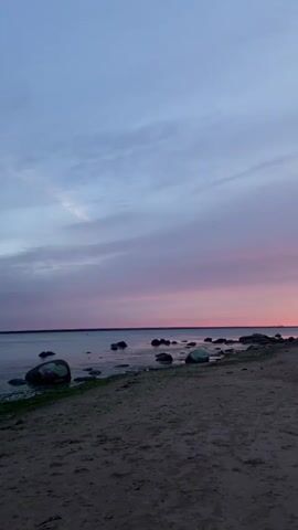The video shows a wide shot of a beach during what appears to be sunset or sunrise. The sky is a gradient of colors, from pale blue at the top to pink and orange near the horizon. There are some clouds in the sky. The foreground is a sandy beach. In the mid-ground, there is a body of water with some rocks near the shore. On the right side of the frame, there is a cluster of dark green pine trees. The overall atmosphere is calm and serene. There are no people visible in the video.