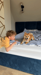 Morning domestic scenes with boy, dog, exercising woman in Carnikava