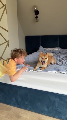 Morning domestic scenes with boy, dog, exercising woman in Carnikava