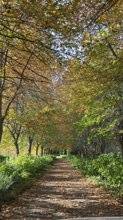 Autumn vineyard tour documented across Stellenbosch wine estates