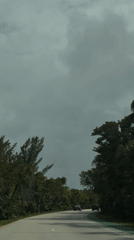 Evening traffic on tree-lined Key Biscayne road