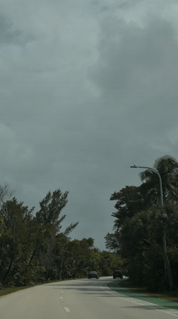 Evening traffic on tree-lined Key Biscayne road