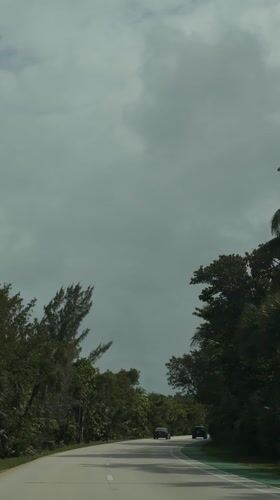 Evening traffic on tree-lined Key Biscayne road
