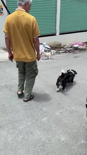 Da Lat, Vietnam