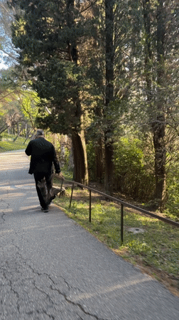 Elderly person in black walks paved path in Pržno