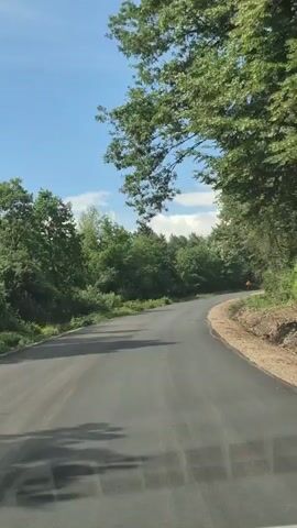 A video shows a paved road curving through a dense forest under a bright blue sky. The trees lining the road are lush and green, with sunlight filtering through their leaves. A triangular orange warning sign is visible on the right side of the road, indicating a curve. The camera appears to be mounted on a vehicle, suggesting the footage was captured while driving. The overall scene is peaceful and natural, conveying a sense of a journey through a scenic landscape.