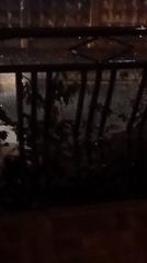 Heavy rainstorm hits Sochi streets on a July night