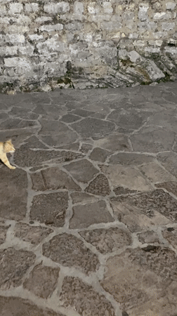 Evening stroll through Budva's old town streets and courtyards