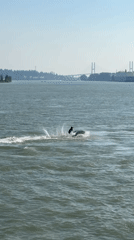 Jet ski and bridge views along a busy river waterfront