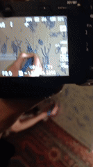 Artist draws insects on canvas in Moscow studio session