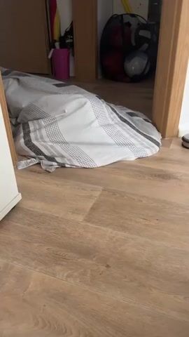 The video shows a view of a room with wood-grain laminate flooring. In the foreground and middle ground, a large pile of laundry, possibly a duvet cover, lies on the floor. It is patterned with white and gray stripes and dots. The background shows an open doorway leading into another space. To the left of the doorway, a pink bucket and a colorful umbrella are visible. To the right, a black mesh laundry bag contains various balls, including a red basketball and a white and blue soccer ball. A yellow object, possibly a bat or stick, leans against the wall behind the laundry bag. The lighting suggests it is daytime. There are no people visible in the frame.