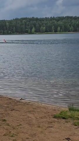 A serene lake is captured under a cloudy sky. The foreground features a sandy shore with patches of green grass. In the distance, a dense forest lines the opposite bank of the lake. Several individuals are visible swimming in the calm water, their bodies breaking the surface as they move. Two of the swimmers appear to be closer to the shore, while the others are further out. The water's surface is rippled, indicating a gentle movement. The overall scene evokes a sense of tranquility and summer recreation.