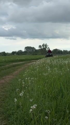 A person is driving an all-terrain vehicle (ATV) on a dirt path through a field filled with dandelions. The person is wearing a maroon hooded sweatshirt and appears to be smiling. The ATV is gray and black with large tires. The background shows a cloudy sky, trees, and a green field. The ATV approaches the camera, passing by in the field.