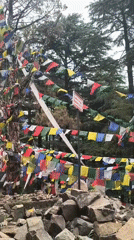 Morning documentation of Dharamkot's Buddhist sites and daily life