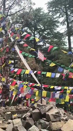 Morning documentation of Dharamkot's Buddhist sites and daily life