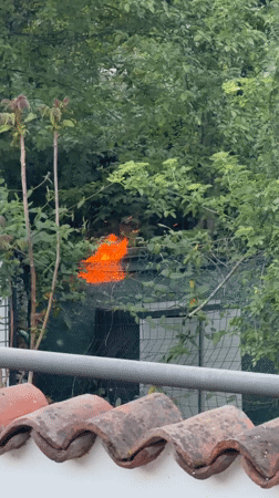 Ordinary Milan afternoon: laundry drying, car engine inspection