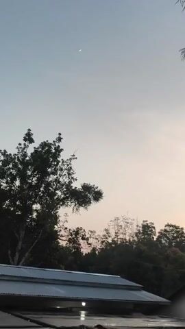 A video captures a crescent moon in a light blue sky, gradually fading to a soft pink hue near the horizon. Silhouetted against this sky are the dark shapes of trees and the roof of a building. A slender tree with sparse foliage stands prominently on the left, its branches reaching upwards. In the distance, a line of denser trees forms a dark, undulating backdrop. The building's roof, covered with what appears to be a metal sheeting, extends across the lower portion of the frame, with its edge slightly angled. The overall scene suggests a calm, possibly twilight, atmosphere in an outdoor setting.