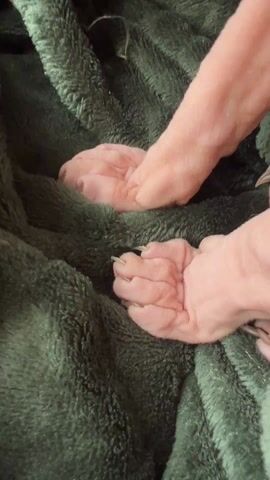 The video shows a Sphynx cat on top of a green blanket. The camera focuses on the cat's paws before moving to show the cat's body. The cat is hairless, with wrinkled skin. The background is out of focus and white.