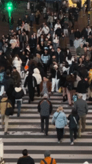 Ordinary Shibuya scenes documented: crossings, protest, statue, collectible