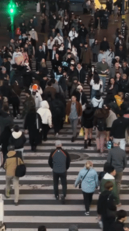 Ordinary Shibuya scenes documented: crossings, protest, statue, collectible