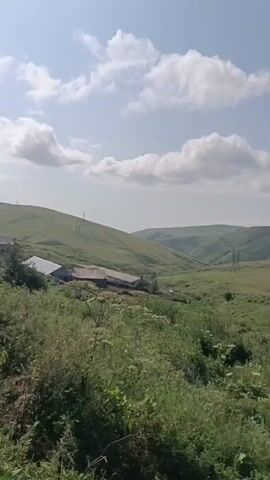 This video shows a panoramic view of a vast green landscape under a bright blue sky with scattered white clouds. The terrain is hilly, with gentle slopes covered in lush green grass. In the distance, several electricity pylons stand as solitary figures against the horizon, indicating human infrastructure within the natural environment. In the foreground, closer to the camera, is a dense growth of various green plants and weeds. To the left of the frame, a building with a corrugated metal roof is partially visible, suggesting a small farm or rural dwelling. The camera appears to be panning slowly across the landscape, offering a broad perspective of the serene, rural setting. There are no people or animals visible in the video. The overall impression is one of a peaceful, expansive countryside.