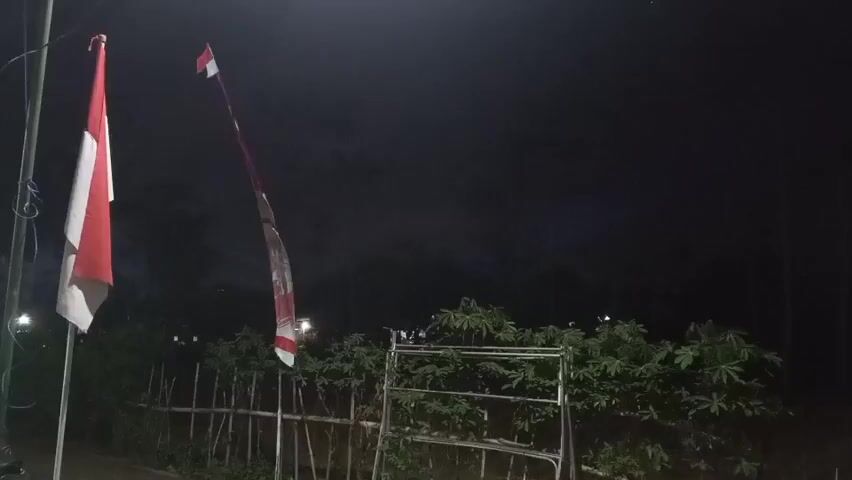 The video shows two flags, one red and white and the other a longer, tattered red and white flag, hanging from poles at night. There is lush green foliage in the mid-ground, partially obscured by a wire fence. In the background, distant lights are visible, suggesting a populated area. The sky is dark and cloudy.