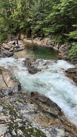 A short video clip captures a rushing stream cascading over rocks in a lush, green forest. The water is white and frothy as it flows through a rocky channel, leading to a calm, clear pool of water further upstream. On the bank of the pool, two people are visible, standing near the edge of the water. The surrounding environment is densely forested with tall, green trees.