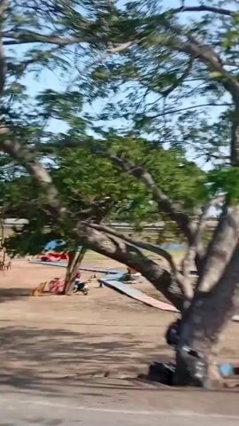 The video shows a rapid pan of the roadside scenery. First, we see a thatched roof structure with small palm trees nearby, then a grassy area with large sculptures of a shark, iguana, and dolphin. Next, the camera pans to a large sign that reads "Moron" in block letters with a red heart, followed by the words "Bendiciones a todos." The sign is placed against a grassy hill with painted dolphins and iguanas and the road runs in front of it. The camera continues to pan along the sign. The sky is blue and clear. The videography is a quick series of pans, likely filmed from a moving vehicle.