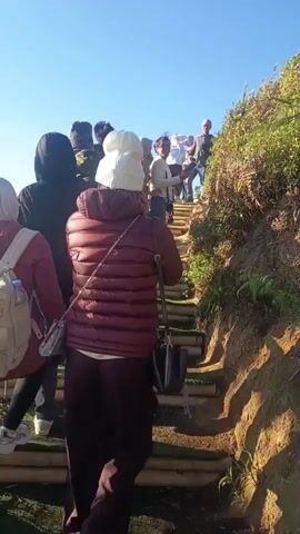 A group of people are walking up a wooden staircase that is partially covered with grass. The stairs are built into a dirt hillside covered with vegetation. The sky is clear and blue, suggesting it is daytime. The people are dressed in casual clothing, with some wearing jackets and hats, indicating a cooler climate or early morning. One person in the foreground is wearing a maroon puffer jacket and dark pants, with a white beanie. Another person to their left is wearing a red jacket and a white backpack. Further up the stairs, several other individuals are visible, including one wearing a pink beanie. The scene appears to be a natural outdoor setting, possibly a hiking trail or a viewpoint. The camera is positioned behind the group, following them as they ascend the stairs.