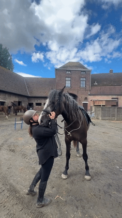 Equestrian activity documented at Belgian stable facility