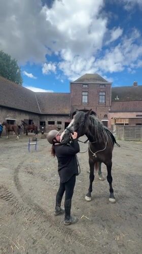 Equestrian activity documented at Belgian stable facility