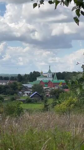 The video shows a rural landscape with a cluster of buildings, including what appears to be a monastery with green roofs and a golden dome, in the middle ground. In the foreground, tall dry grass and some green foliage are visible, with green leaves from a tree or bush hanging into the frame, partially obscuring the view. The sky above is partly cloudy. The scene suggests a serene, pastoral setting. There are no people or explicit actions depicted in the video.