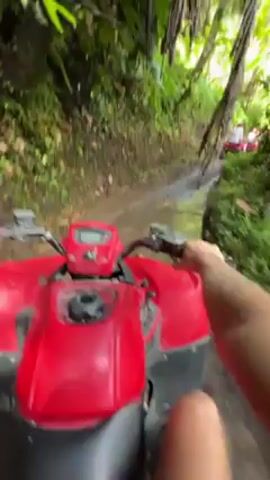 The video shows a first-person perspective of someone riding a red ATV through a narrow, muddy trail surrounded by dense green vegetation. The trail appears to be slightly uphill, and there are other red ATVs ahead, driven by people wearing white shirts and helmets. The ATV in the foreground has a digital speedometer. The environment suggests a lush, possibly tropical, forest.