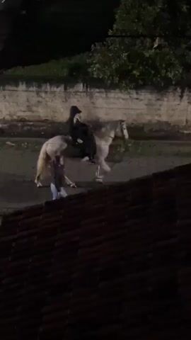 A person on horseback is visible in the video. The horse is light-colored, and the rider is wearing dark clothing. The rider appears to be wearing a hat. The horse is walking on a paved surface, and there is a wall and some foliage in the background. In the foreground, a dark-colored roof is visible. The lighting suggests that it is nighttime or dusk. There is another person on the ground near the horse's head. The person on the ground is wearing light-colored clothing.