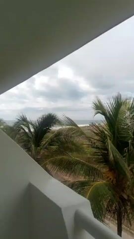 The video shows a view from a balcony overlooking a tropical landscape. In the foreground, palm fronds sway in the breeze. Beyond the palms, a beach and the ocean are visible under a cloudy sky. Further inland, a green, hilly area is dotted with buildings, possibly a resort or town. In the distance, a roller coaster or water slide structure is visible, surrounded by lush vegetation. The overall impression is of a cloudy day at a tropical destination with recreational facilities.