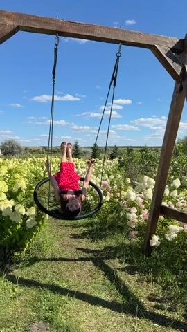 A young woman with long dark hair, wearing a red polka dot dress, sits on a round net swing suspended from a wooden A-frame structure. She is in a lush green outdoor setting with a field of white and pink hydrangeas behind her under a bright blue sky with scattered clouds. The video captures her swinging back and forth, sometimes looking at the camera and sometimes looking away as she moves.