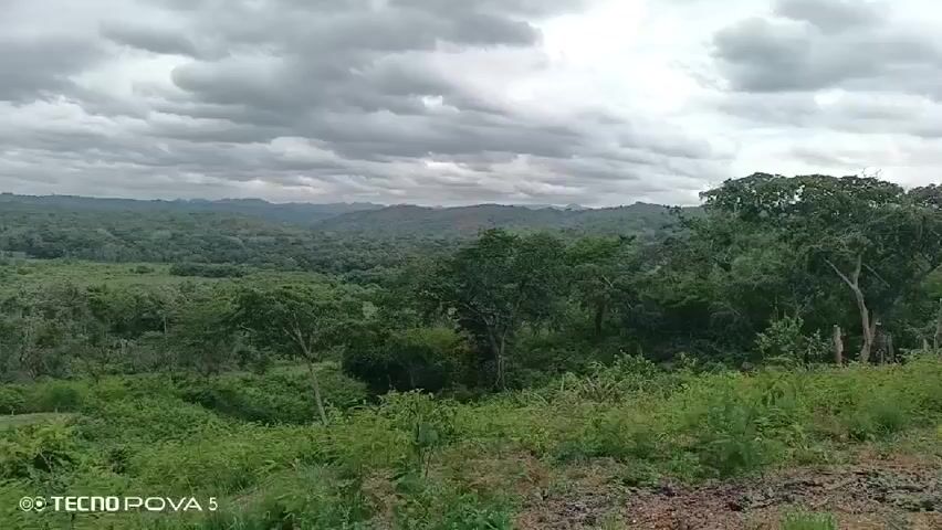 The video pans across a scene of rolling hills covered in dense green vegetation and trees under a cloudy sky. In the middle distance, there’s a large area of light-colored bare earth. The foreground is filled with lush green plants. The camera moves slowly, revealing more of the landscape. There is a logo for a Tecno Pova 5 phone in the lower left corner of the screen. A voice is heard saying "Te va a hacer el inicio de una muy hermosa amistad".