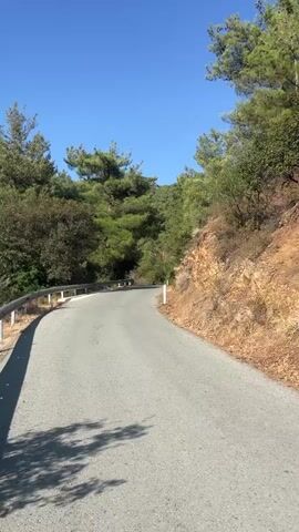 A paved road curves through a forested, hilly area on a clear, sunny day. The road has a guardrail on the left side and a rocky embankment on the right. Tall, green trees and foliage line both sides of the road, with the sky visible overhead. Sunlight casts shadows on the road's surface.