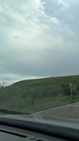 The video shows a car's perspective driving on a winding asphalt road through a forested area. The road has white lane markings and a barrier on the left side. The forest is lush and green, with a variety of trees. The sky is overcast with grey clouds.