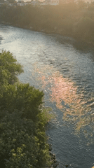 Afternoon stroll captures sunlit river, gardens, and pink blooms
