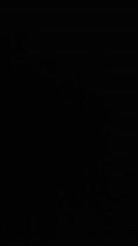 The video displays a completely black screen for the entire duration of 00:00 to 00:04. No visual information is present.