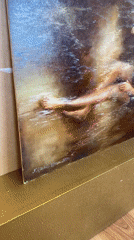 Domestic scenes with artwork and pet accessories documented in Bílina