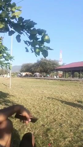 The video shows a group of young people, likely students, standing by a row of parked motorcycles under a large tree. The weather appears to be clear and sunny, with a blue sky and a distant tower visible. The ground is covered in dry grass, and there is a paved area in front of the motorcycles. Some of the students are wearing school uniforms. The camera is positioned low, looking up towards the group. The scene suggests a casual gathering or waiting area.