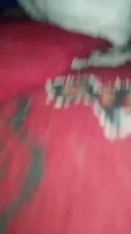 The video shows a cat. The cat is mostly white with gray tabby markings on its head. It has yellowish eyes and a pink nose. The cat is wearing a red collar. The background is a red carpet with a patterned design. The video is blurry and shaky. The cat looks at the camera, then turns its head to the side. The video goes to black briefly before returning to a blurry view.