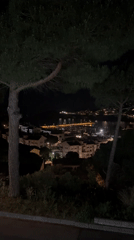 Nighttime observations include purple sphere, waterfront views in Spain