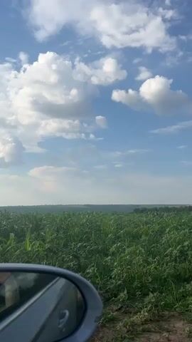 The media file displays a serene natural landscape under a bright, partly cloudy sky. The foreground features a lush green field, likely agricultural, with tall crops that appear to be corn or a similar plant. A portion of a car's side mirror is visible in the lower left corner, suggesting the footage was captured from a moving vehicle.

Beyond the field, a gentle horizon line marks the transition to a vast expanse of sky. White, fluffy cumulus clouds are scattered across a vibrant blue canvas, indicating fair weather. The light suggests it is daytime, likely mid-morning or afternoon, given the brightness and the clarity of the scene. The overall setting is rural, evoking a sense of open space and natural beauty.

There is no visible text within the media file. The emotion conveyed is one of peace and tranquility, enhanced by the idyllic scenery and the gentle movement implied by the car mirror. The location context places this scene in Pisanets, Bulgaria, a detail that adds geographical specificity to the visual narrative.
