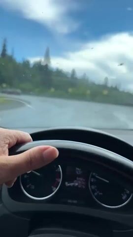The video begins with a close-up of a person's hand holding a steering wheel in a car. The camera then pans out to reveal the dashboard with the speedometer indicating a speed of 90. The view through the windshield shows a winding road surrounded by lush green trees and a cloudy sky. Several yellow road signs with arrows indicating turns are visible along the side of the road. The road appears to be wet, suggesting recent rain. The video captures the experience of driving on a scenic, possibly mountainous, route.