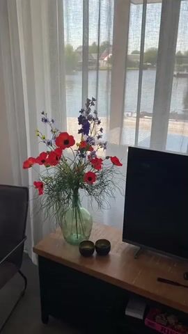 A bouquet of red poppies and blue delphiniums sits in a green glass vase on a wooden table. Two small dark candle holders are next to the vase. A black television is to the right of the vase, and a brown leather chair is to the left. The scene is set in front of a sheer white curtain, which reveals a view of water and houses outside.