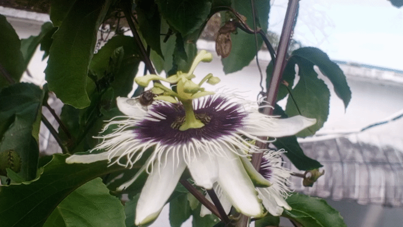 Daily life moments captured across Tinaquillo, Venezuela