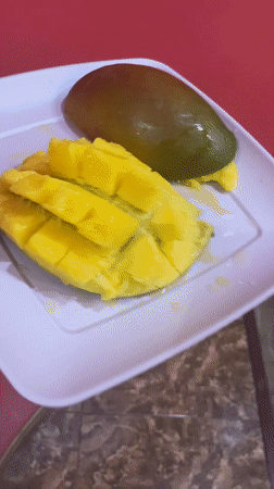 Fresh mango, scored and ready to eat, Yerevan